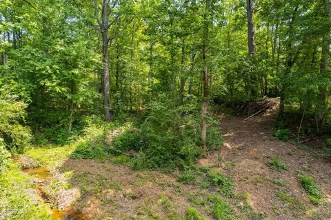 182 County Rd 129, Ranburne, AL 36273 photo 7