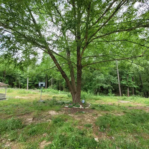 11940 Flat Shoals Rd, Covington, GA 30016 photo 3