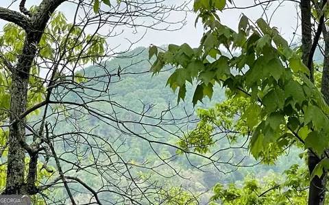 lot Big Buck Cv, Hayesville, NC 28904