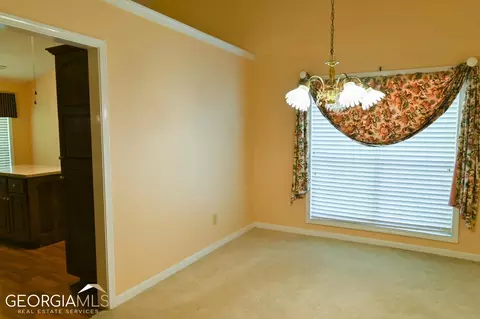 45 Manor Oak Ln, Covington, GA 30014 photo 14