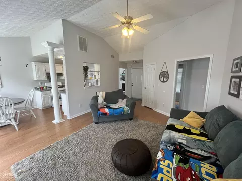11408 Vinea Ln, Hampton, GA 30228 photo 11