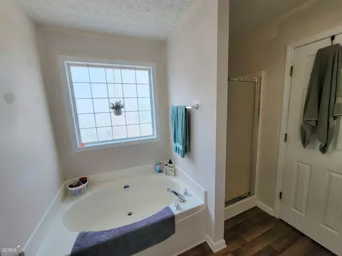 11408 Vinea Ln, Hampton, GA 30228 photo 18