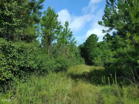 0 Old Post Rd, Hortense, GA 31543 photo 43