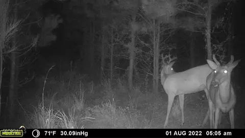 0 Old Post Rd, Hortense, GA 31543 photo 80