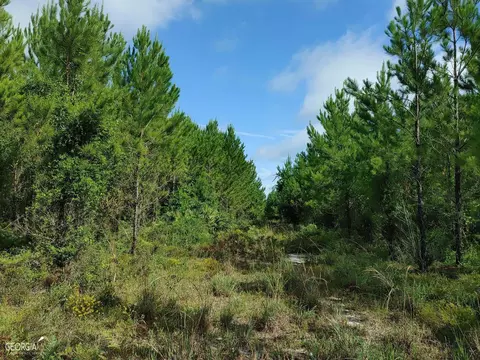 0 Old Post Rd, Hortense, GA 31543 photo 30
