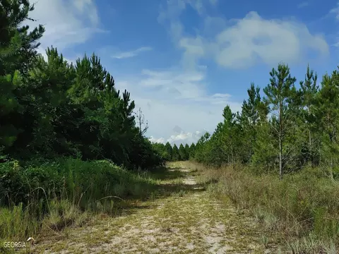 0 Old Post Rd, Hortense, GA 31543 photo 31
