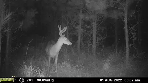 0 Old Post Rd, Hortense, GA 31543 photo 81