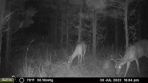 0 Old Post Rd, Hortense, GA 31543 photo 68