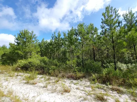 0 Old Post Rd, Hortense, GA 31543 photo 27
