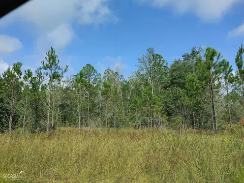 0 Old Post Rd, Hortense, GA 31543 photo 48