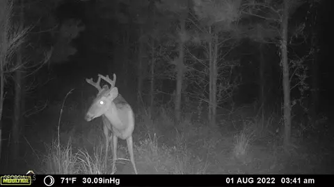 0 Old Post Rd, Hortense, GA 31543 photo 79
