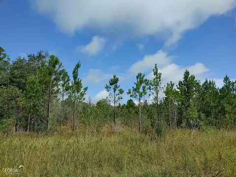 0 Old Post Rd, Hortense, GA 31543 photo 49