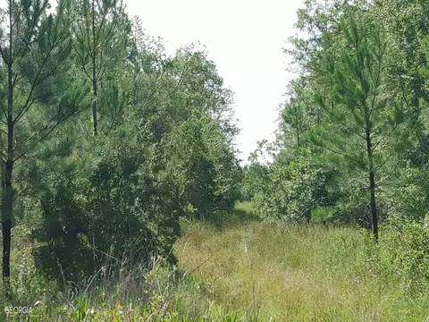 0 Old Post Rd, Hortense, GA 31543 photo 44