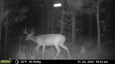 0 Old Post Rd, Hortense, GA 31543 photo 77