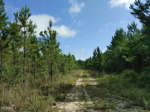 0 Old Post Rd, Hortense, GA 31543 photo 32
