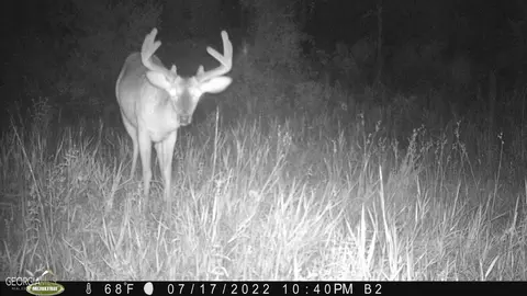 0 Old Post Rd, Hortense, GA 31543 photo 94
