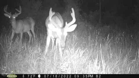 0 Old Post Rd, Hortense, GA 31543 photo 5