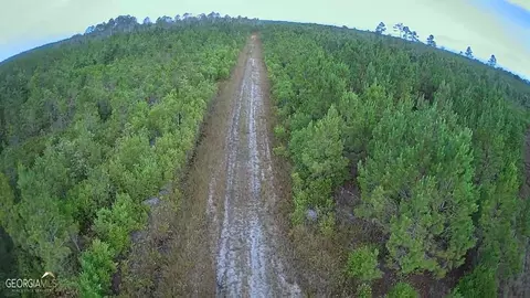 0 Old Post Rd, Hortense, GA 31543 photo 65