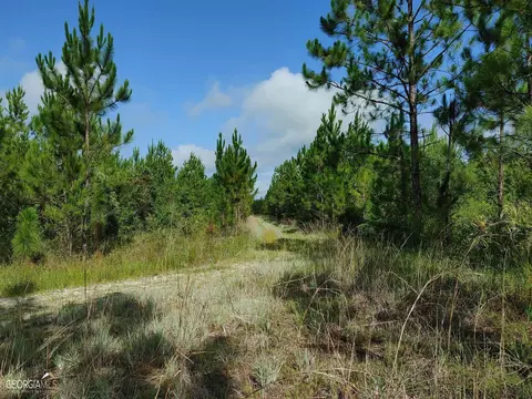 0 Old Post Rd, Hortense, GA 31543 photo 34