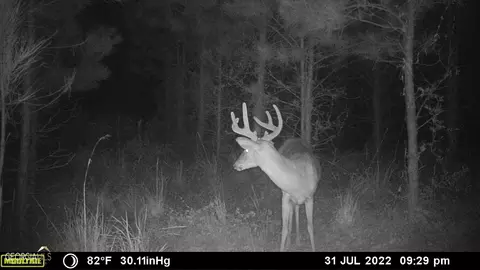 0 Old Post Rd, Hortense, GA 31543 photo 76
