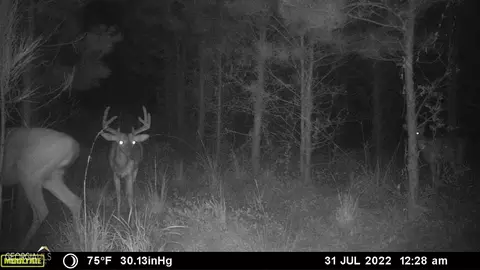 0 Old Post Rd, Hortense, GA 31543 photo 70