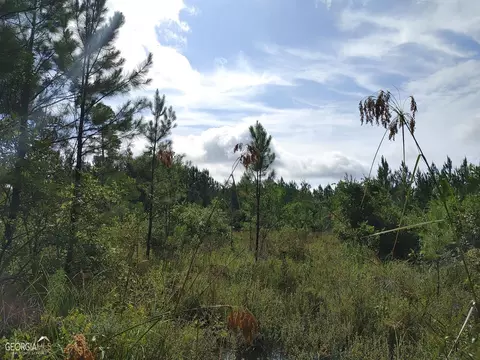 0 Old Post Rd, Hortense, GA 31543 photo 46