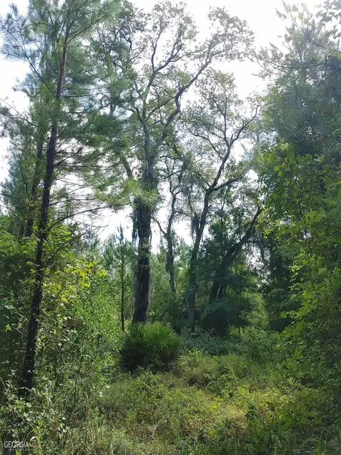 0 Old Post Rd, Hortense, GA 31543 photo 45