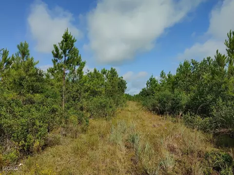 0 Old Post Rd, Hortense, GA 31543 photo 29
