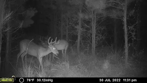 0 Old Post Rd, Hortense, GA 31543 photo 69