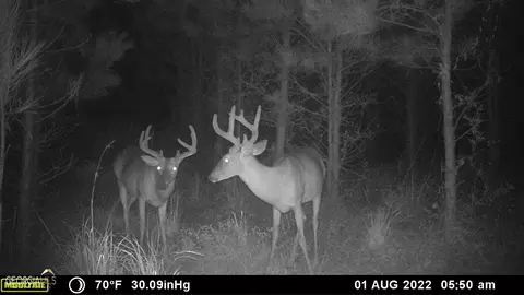 0 Old Post Rd, Hortense, GA 31543 photo 3