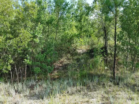 0 Old Post Rd, Hortense, GA 31543 photo 38