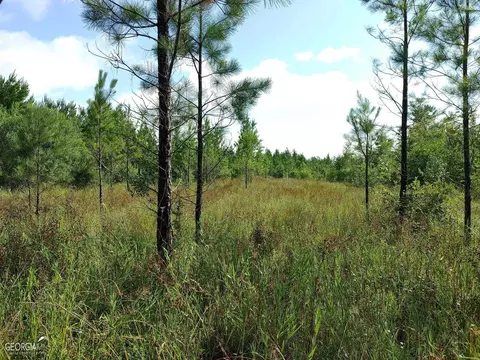 0 Old Post Rd, Hortense, GA 31543 photo 42