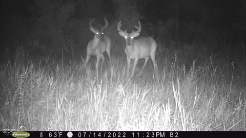 0 Old Post Rd, Hortense, GA 31543 photo 84