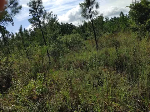 0 Old Post Rd, Hortense, GA 31543 photo 47