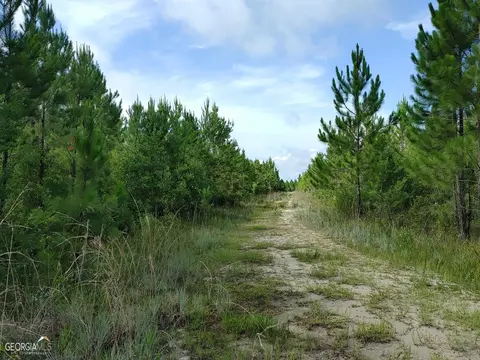 0 Old Post Rd, Hortense, GA 31543 photo 35