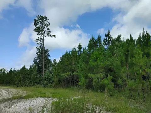0 Old Post Rd, Hortense, GA 31543 photo 55