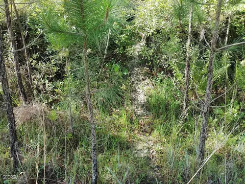 0 Old Post Rd, Hortense, GA 31543 photo 37