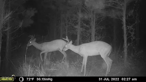 0 Old Post Rd, Hortense, GA 31543 photo 72