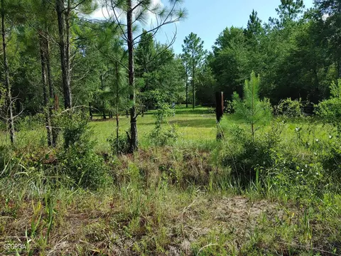 0 Old Post Rd, Hortense, GA 31543 photo 33