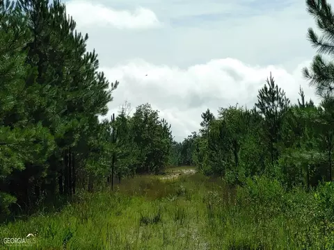 0 Old Post Rd, Hortense, GA 31543 photo 40