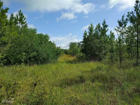 0 Old Post Rd, Hortense, GA 31543 photo 50