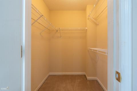 10894 Knotty Pines Pl, Hampton, GA 30228 photo 17