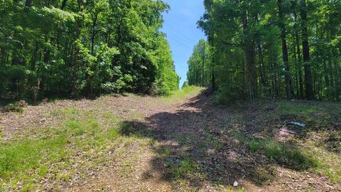 371 Rattle Trap Rd, Commerce, GA 30529 photo 9