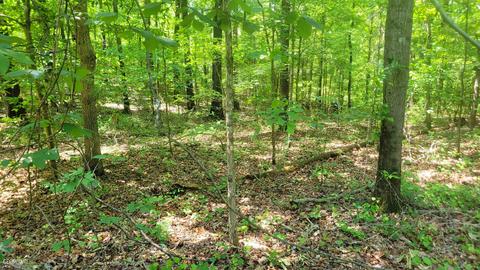 371 Rattle Trap Rd, Commerce, GA 30529 photo 8