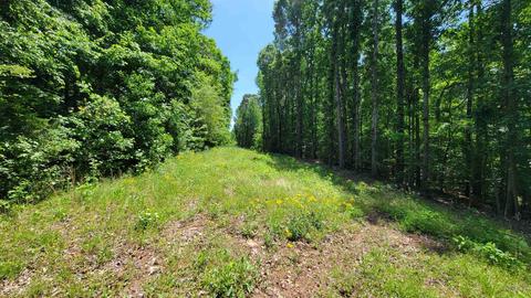 371 Rattle Trap Rd, Commerce, GA 30529 photo 3