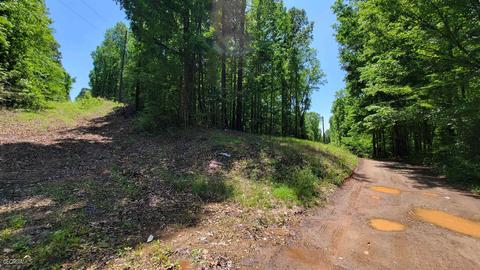 371 Rattle Trap Rd, Commerce, GA 30529 photo 10