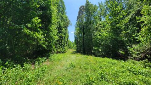 371 Rattle Trap Rd, Commerce, GA 30529 photo 1