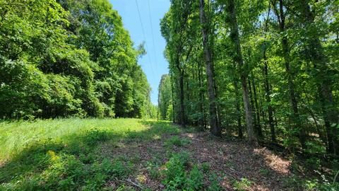 371 Rattle Trap Rd, Commerce, GA 30529 photo 5