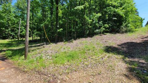 371 Rattle Trap Rd, Commerce, GA 30529 photo 11