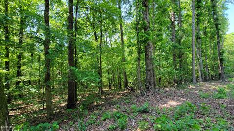 371 Rattle Trap Rd, Commerce, GA 30529 photo 7